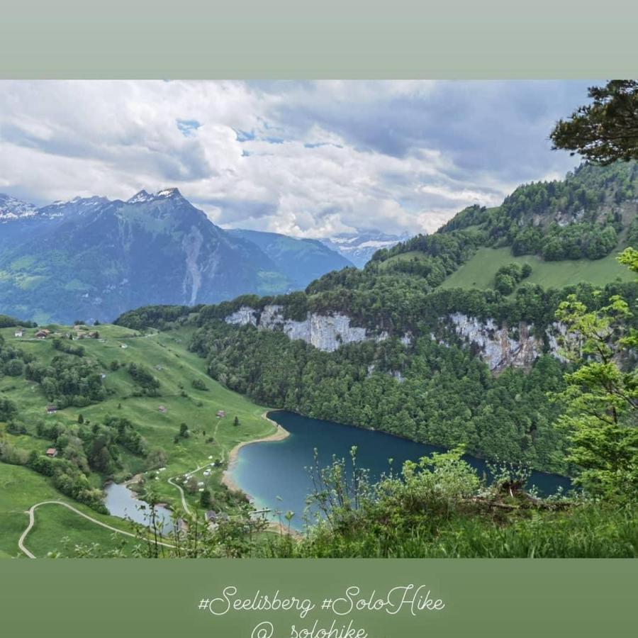 Schoene Ferienwohnung In Traumlage Fewo Solohike Seelisberg Buitenkant foto