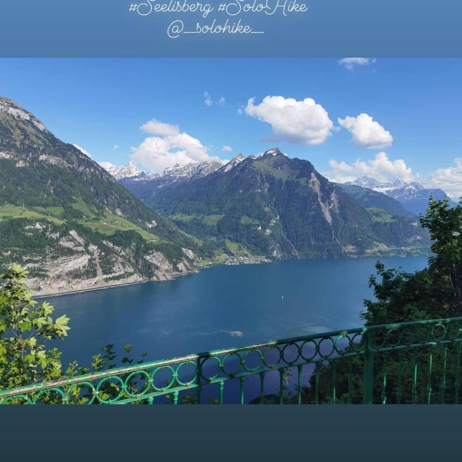 Schoene Ferienwohnung In Traumlage Fewo Solohike Seelisberg Buitenkant foto