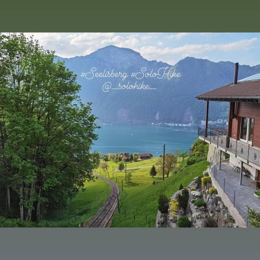 Schoene Ferienwohnung In Traumlage Fewo Solohike Seelisberg Buitenkant foto