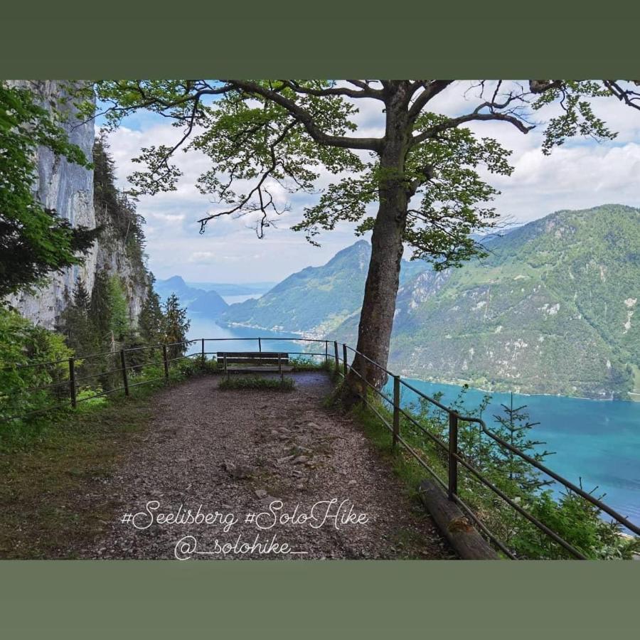 Schoene Ferienwohnung In Traumlage Fewo Solohike Seelisberg Buitenkant foto