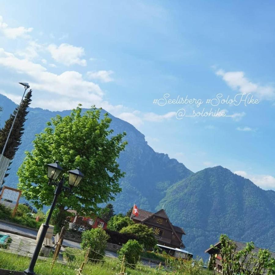 Schoene Ferienwohnung In Traumlage Fewo Solohike Seelisberg Buitenkant foto