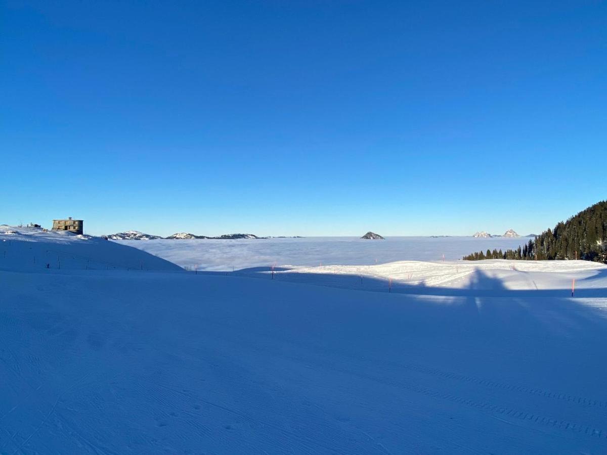 Schoene Ferienwohnung In Traumlage Fewo Solohike Seelisberg Buitenkant foto